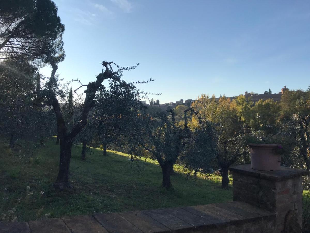 La Perla Tra Gli Ulivi Siena Exterior foto